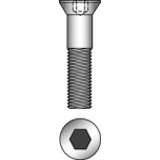 ISO 10642 8.8 - Hexagon socket countersunk head screws