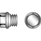 Screw plugs with collar and outer hexagon