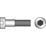 DIN 7984 8.8 - Hexagon socket head cap screws with low head